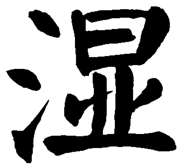 Daily Herb | Poria