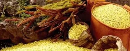Eighteen Foods to Eliminate Dampness and Detoxify the Body