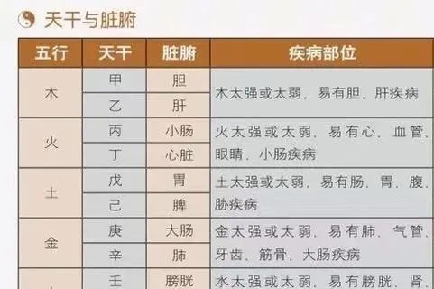 Mnemonic Summary of the Functions of the Five Zang and Six Fu Organs