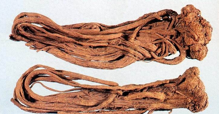 Identification of Angelica Sinensis (Dong Quai)