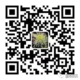 Analysis of the Nine Steaming and Nine Drying Process of Rehmannia Glutinosa
