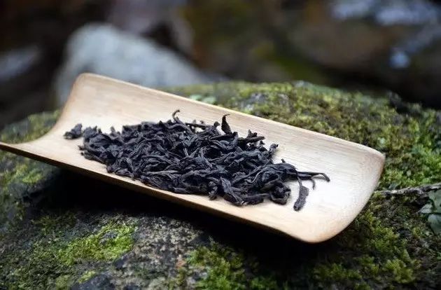 Comparing Wuyi Narcissus and Cinnamon: Which is Better?