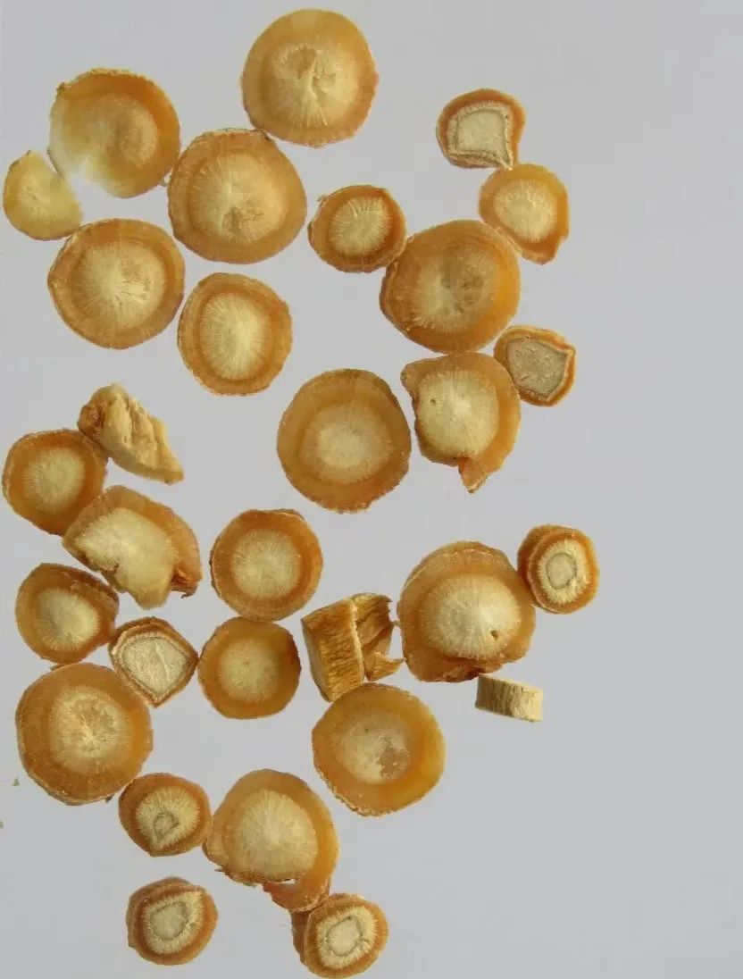 A Detailed Discussion on Codonopsis (Dang Shen)