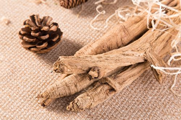 Understanding Chinese Herbs: Dang Shen (Codonopsis pilosula)