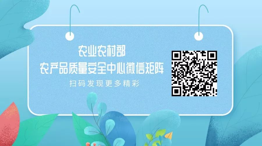 Nutritional Value of Honeysuckle (Jin Yin Hua)