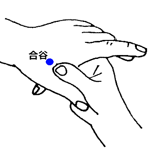 Special Gua Sha Techniques (The Essence of Gua Sha)