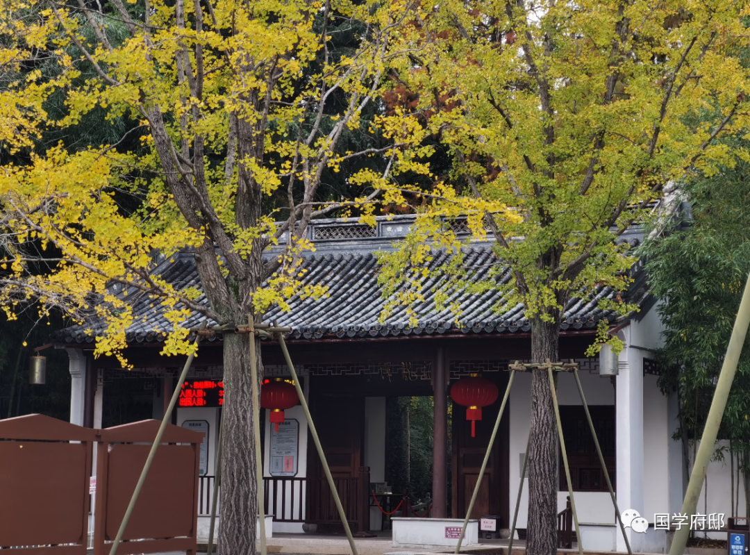 Classic Quotes from the Huangdi Neijing: Wisdom for Health Preservation