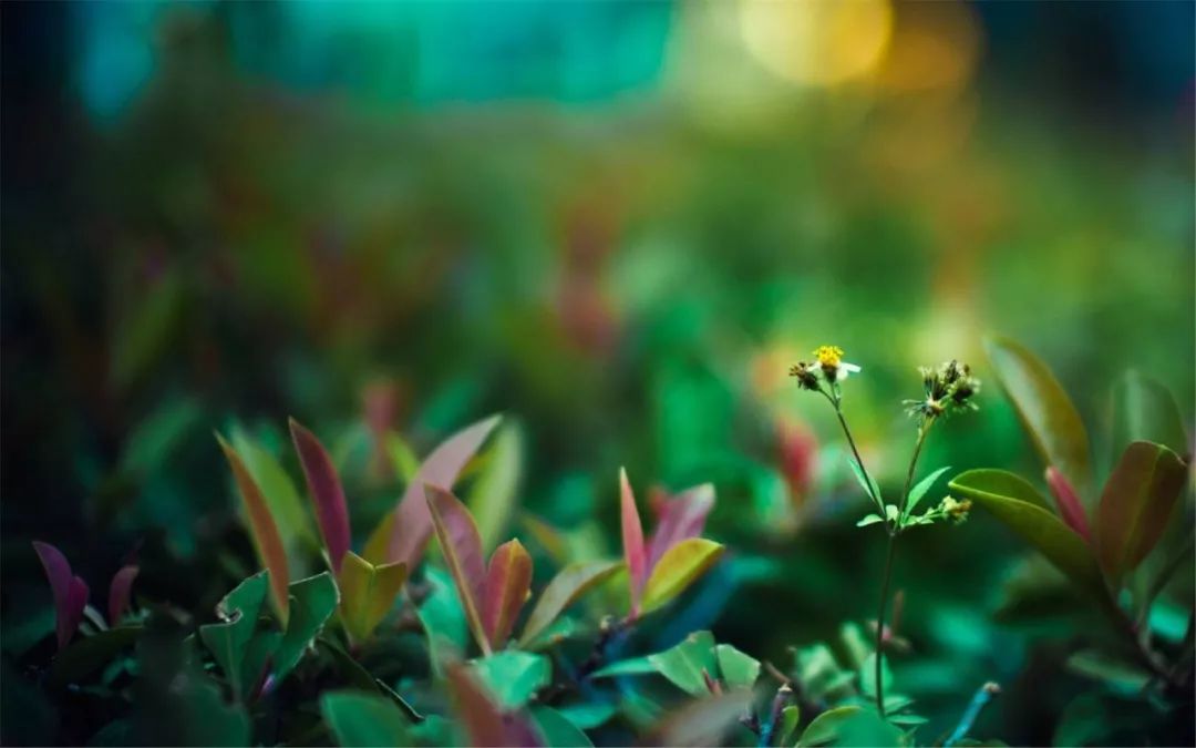 The Hidden Threat of Yin Qi: How It Steals Decades from Our Lives