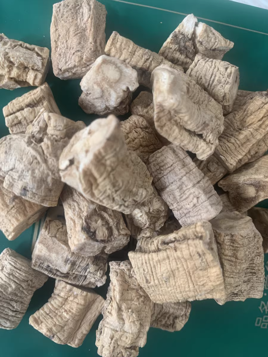 A Detailed Discussion on Dong Shen (Codonopsis pilosula): Uses and Identification