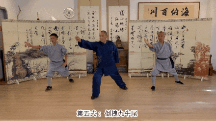 Detailed Explanation of the Twelve Movements of the Ancient Yi Jin Jing