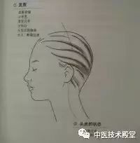 Observational Diagnosis in Traditional Chinese Medicine