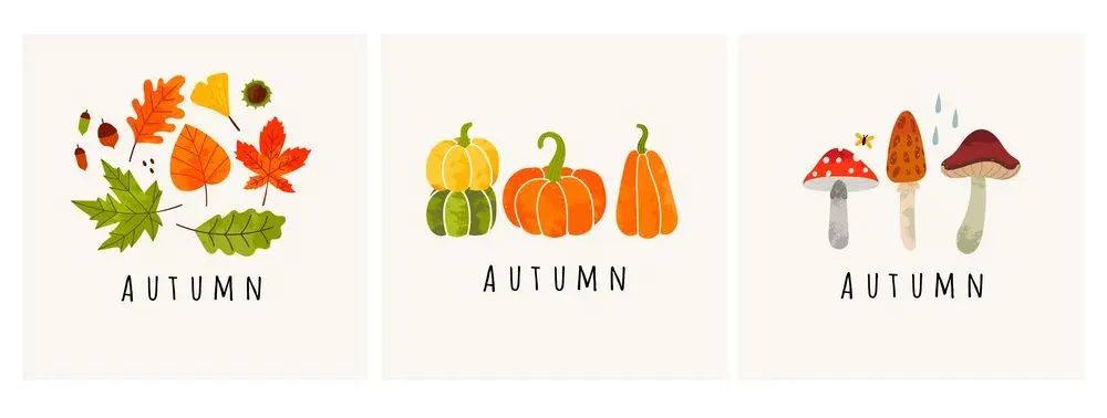 Comprehensive Seasonal Health Recipes with Medicinal Cuisine: A Must-Collect!
