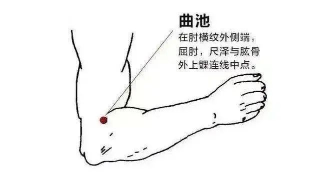 The 12 Essential Acupuncture Points for Treating Various Ailments!