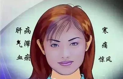 Comprehensive Guide to Facial Diagnosis in Traditional Chinese Medicine (With Images and Explanations)
