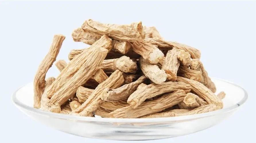 The Effects and Functions of Codonopsis (Dang Shen)
