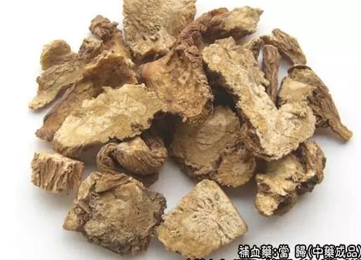 Angelica Sinensis: A Comprehensive Overview