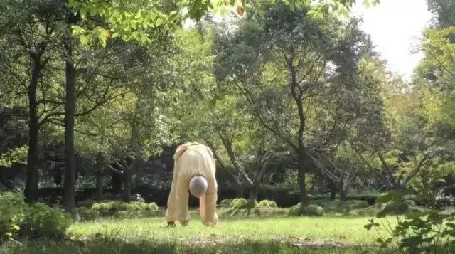 Simple and Easy to Learn! Illustrated Guide to the Twelve Movements of the Ancient Yi Jin Jing (Includes Video)