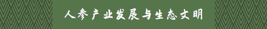 Exploring the Essence of Traditional Chinese Medicine: Ginseng