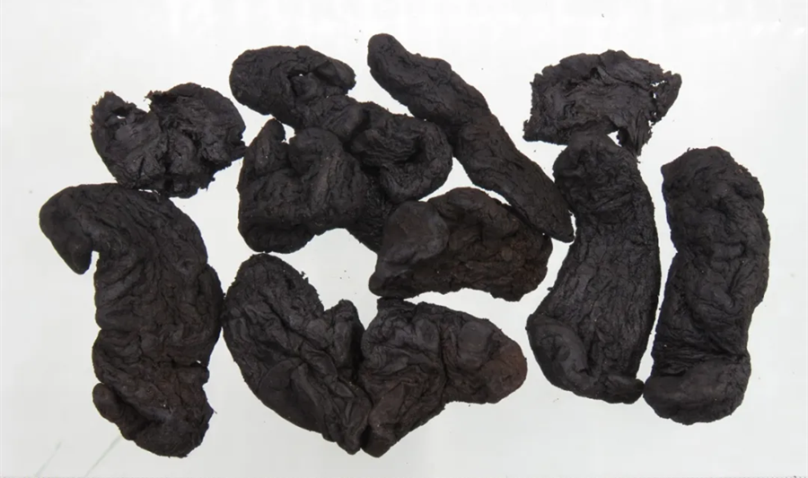 Shu Di Huang: The Sacred Medicine for Nourishing Blood and Yin