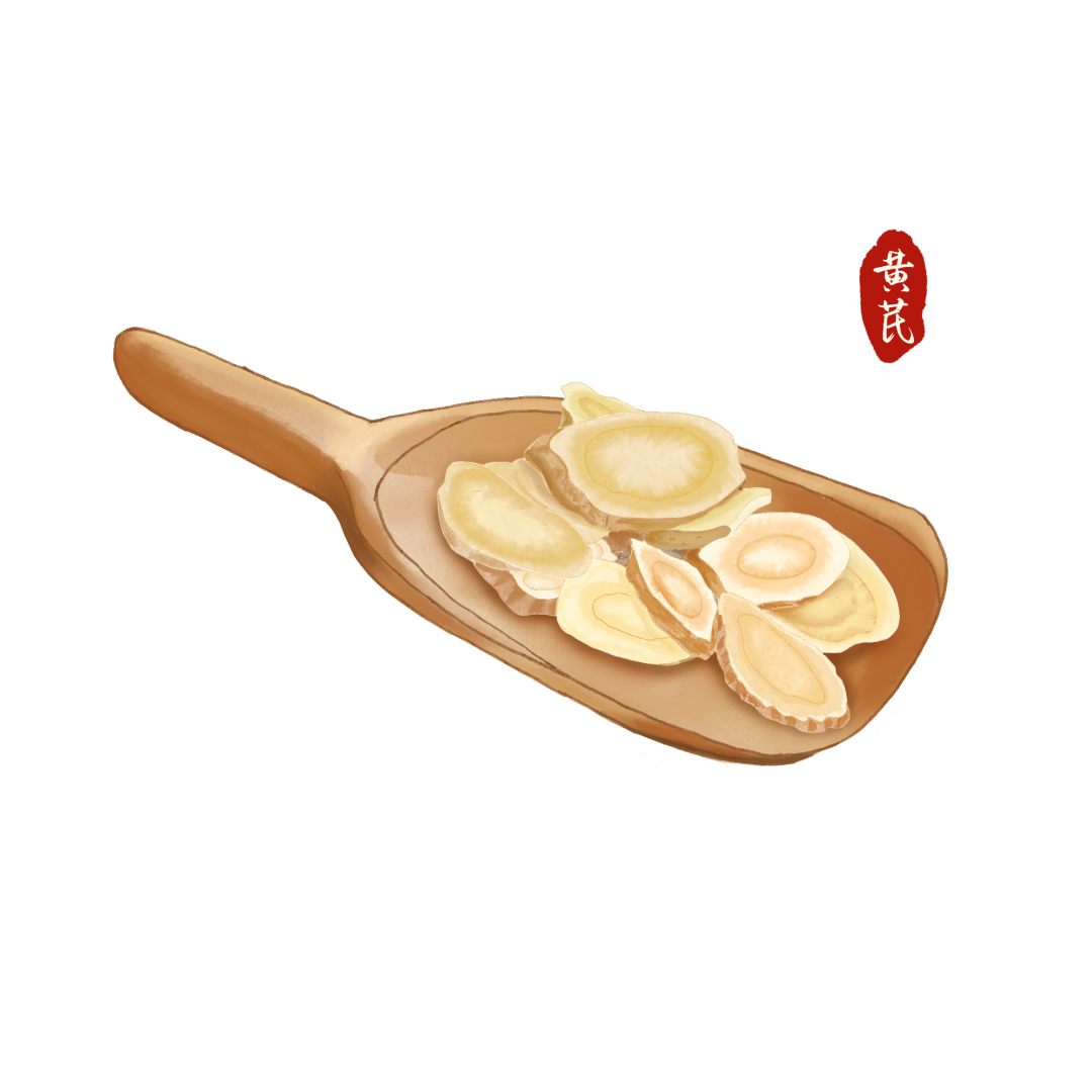 The Qi-Boosting Star of Traditional Chinese Medicine: Astragalus