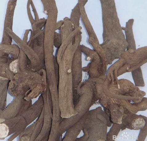 Effective Powder Formula for Treating Lumbar Disc Herniation with 100% Efficacy