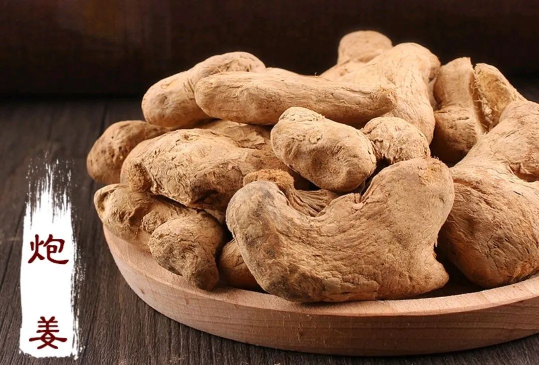 Differences in Efficacy Among Fresh Ginger, Dried Ginger, Processed Ginger, Ginger Charcoal, and Galangal