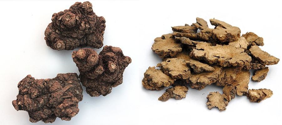 Analysis of Chuanxiong (Ligusticum chuanxiong) in Traditional Chinese Medicine