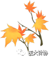 Understanding a Chinese Herb Each Week: Safflower