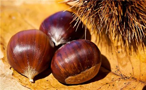 How to Regulate Spleen and Stomach Deficiency Cold: Six Foods to Nourish the Spleen and Stomach
