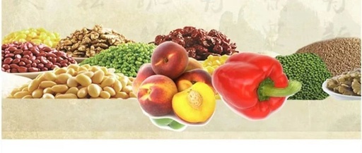 Nourishing Health through Food Therapy