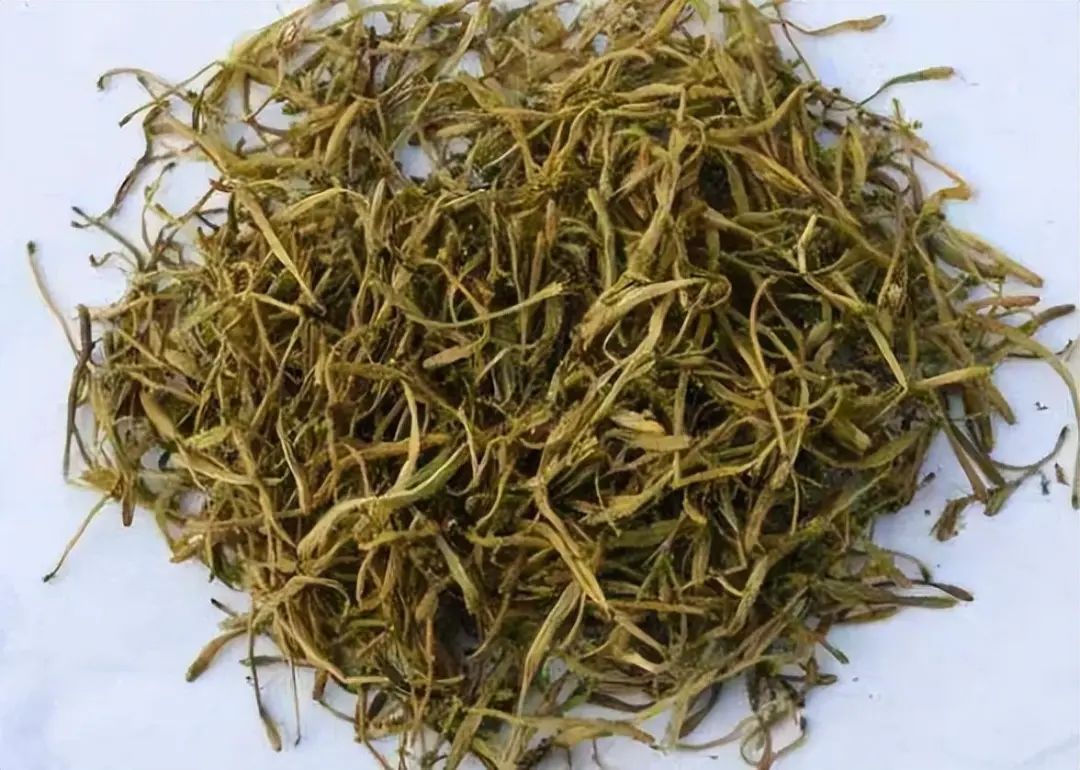 The Perfect Partner for Honeysuckle: Brew Together for a Clean Liver and Improved Sleep Quality