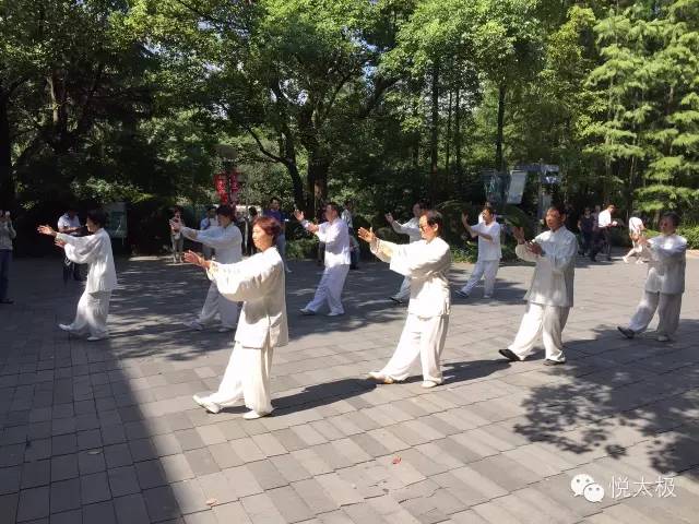 Six Key Points to Accurately Understand the Learning Process and Methods of Tai Chi