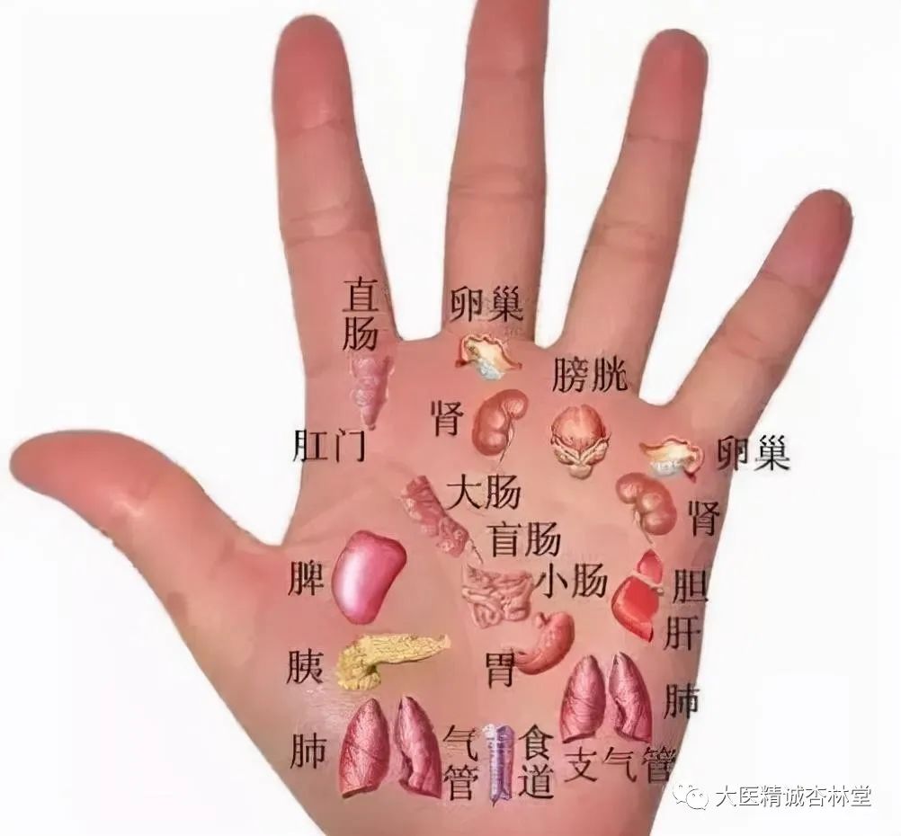 Liver Qi Stagnation: How Traditional Chinese Medicine Can Help