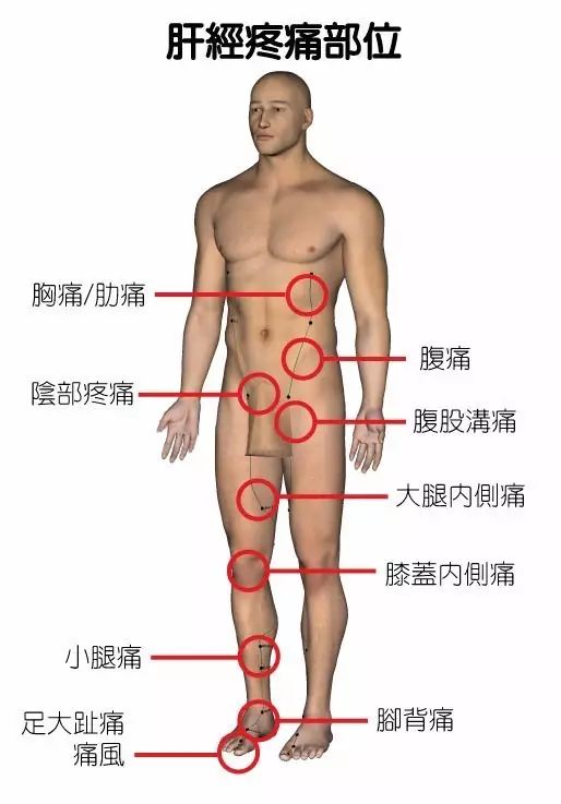 Correspondence Table of Emotions and Pain Related to Blocked Meridians