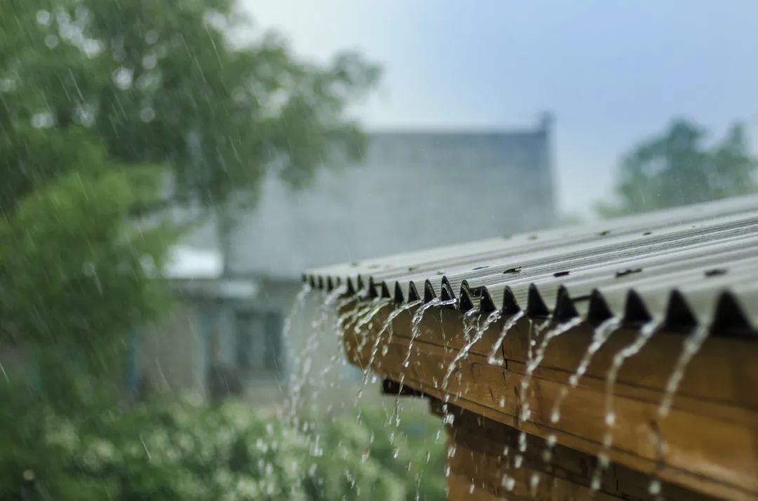 What is 'Dampness' as Commonly Said by People in Guangdong? Recommended TCM Formulas for Dampness Removal