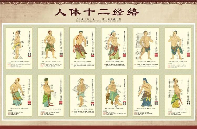 Fundamental Theories of Traditional Chinese Medicine: Jingbie, Luomai, Jingjin, and Pibu