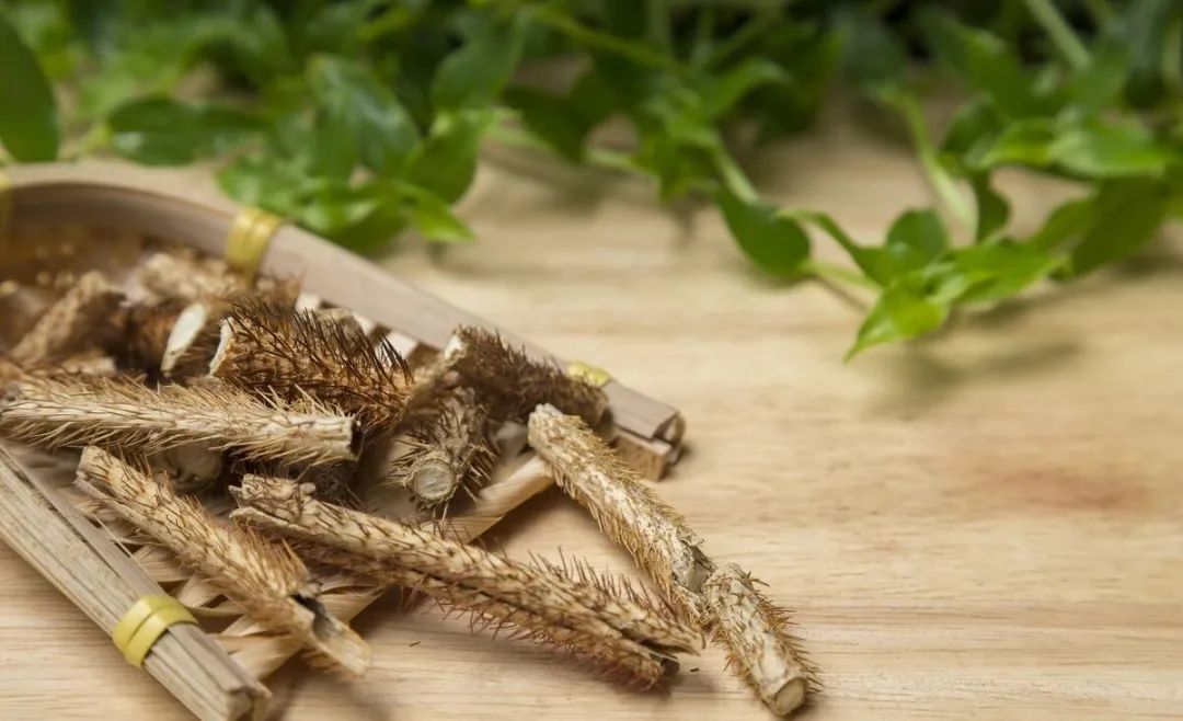 A Comprehensive Guide to Qi-Boosting Herbs and Their Applications