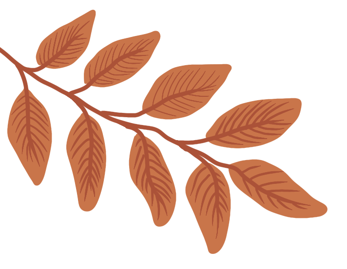 Huang Lian (Coptis chinensis): A Comprehensive Overview
