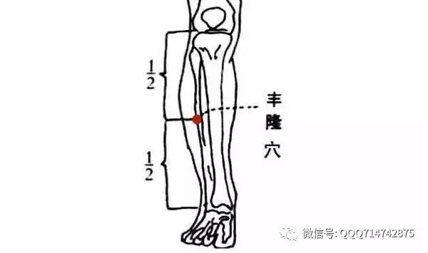 How to Regulate Phlegm-Damp Constitution Without Supplementation?