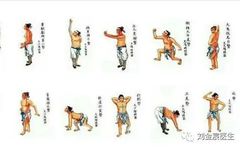 Detailed Explanation of the Twelve Movements of the Ancient Yi Jin Jing