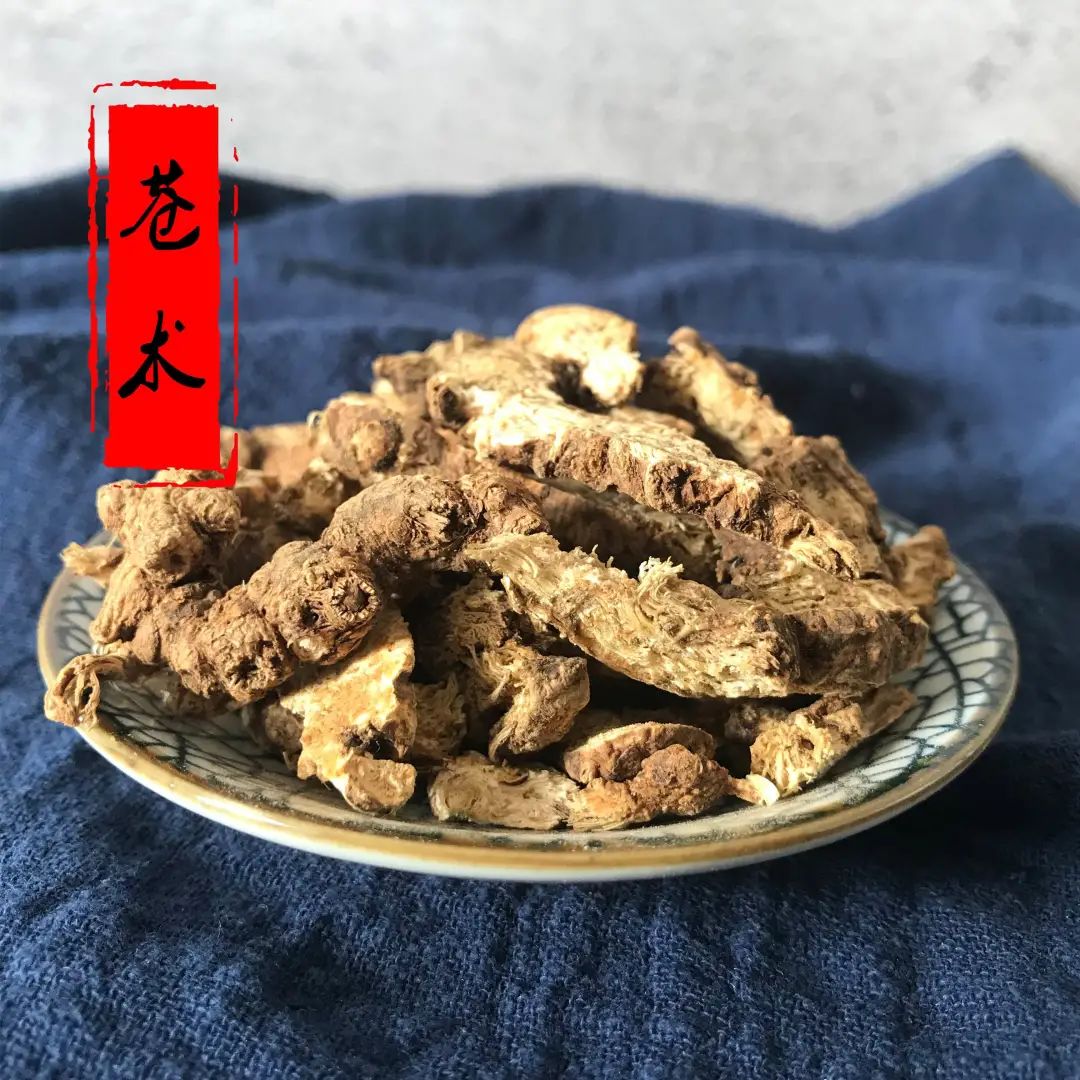 Traditional Chinese Medicine: Essential Knowledge About Cang Zhu (Atractylodes)