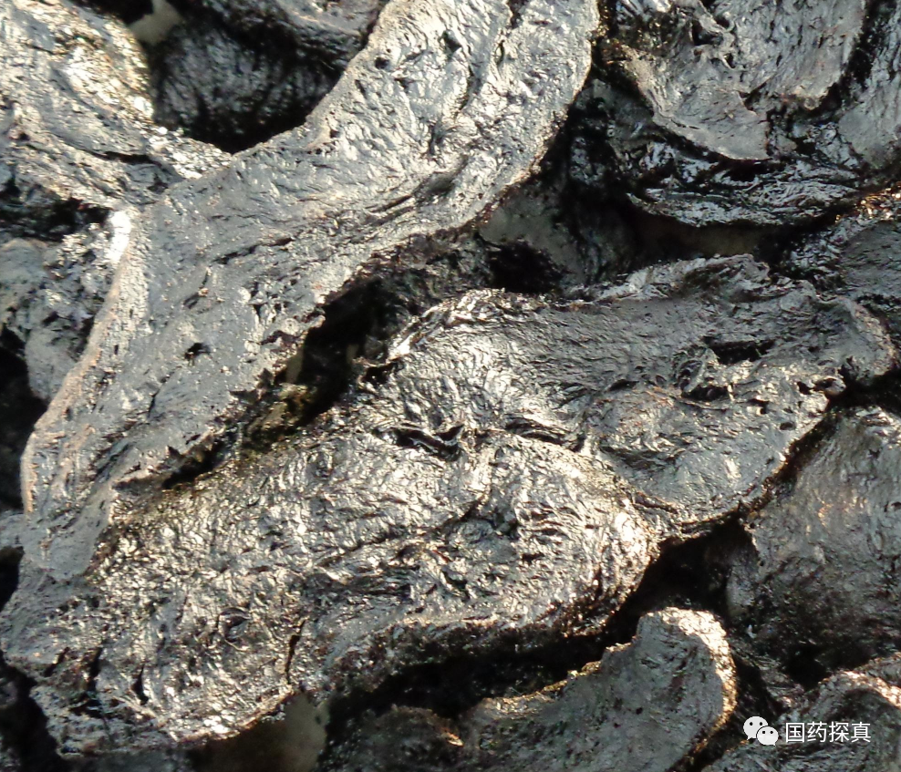The Price Discrepancy Between Cooked and Raw Rehmannia: What’s the Reason?