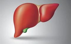 What Causes Liver Fire and Liver Qi Stagnation? Here Are 3 Key Reasons and 4 Habits to Nourish the Liver