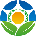 Intercropping in Vegetable Cultivation: Mutual Beneficial and Harmful Relationships