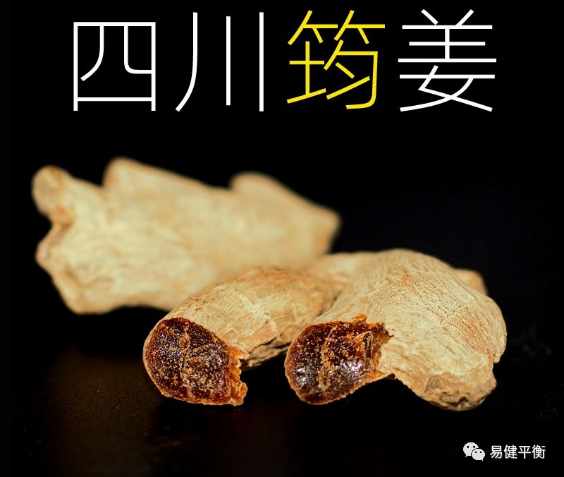 Understanding Gan Jiang: The King of Ginger - Jun Jiang