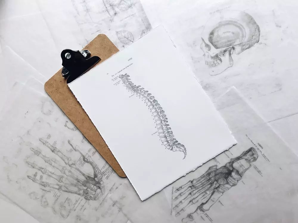 How Can Traditional Chinese Medicine Treat Lower Back Pain? Simple Techniques to Alleviate Symptoms