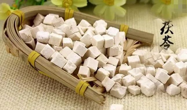Understanding Poria (Fu Ling) in Traditional Chinese Medicine