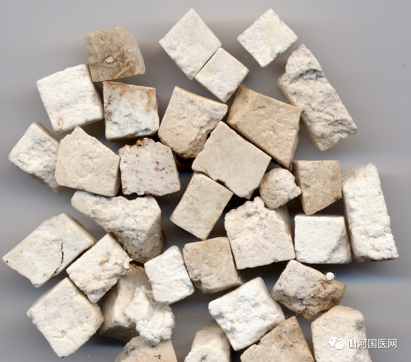 Poria Cocos: A Comprehensive Overview