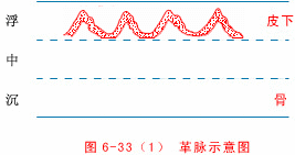 Illustrated Guide to 28 Dynamic Pulse Diagnoses in Traditional Chinese Medicine