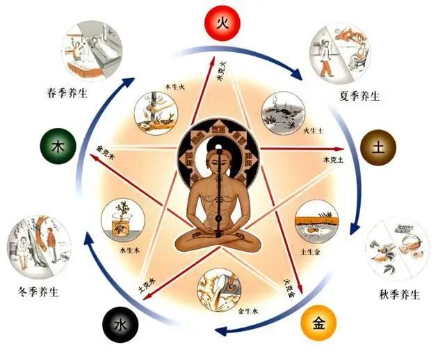 The Relationship Between the Five Elements and the Human Body